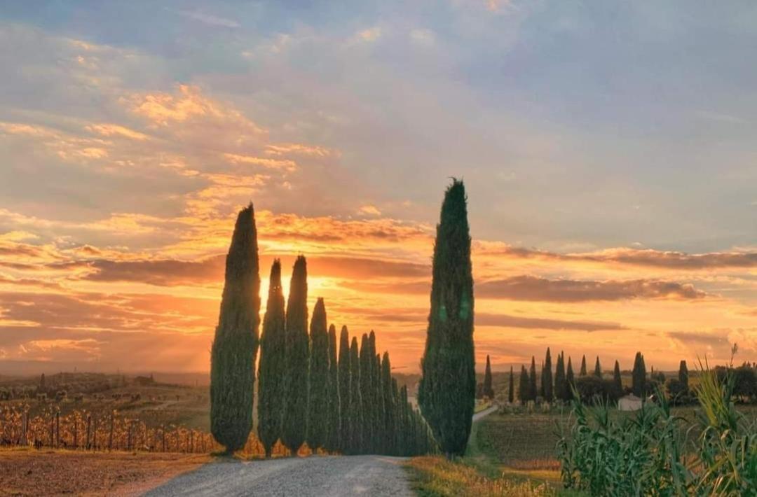 San Gusme Casa Guardiavigna In Chianti 아파트 외부 사진
